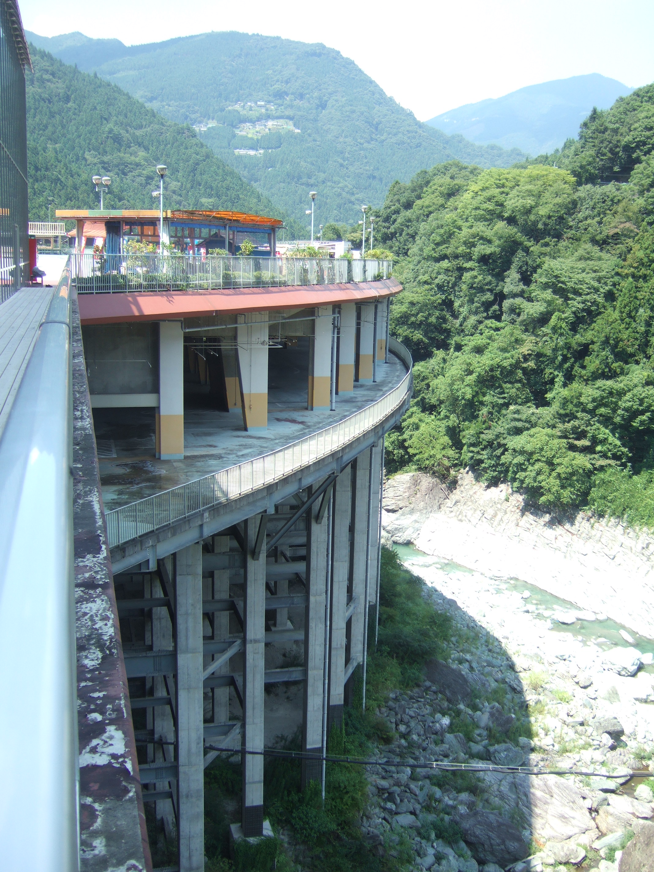 セラリアとかずら橋 セラリアの日記 エコの世界